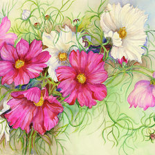 Схема вышивки «Космея»