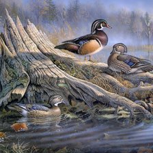 Схема вышивки «Утки»