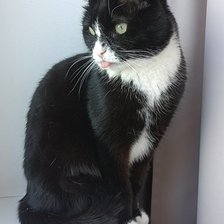 Схема вышивки «Мартель»