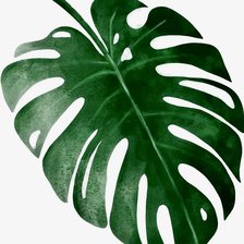 Схема вышивки «Листок»