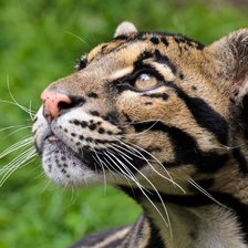 Схема вышивки «№2582024»