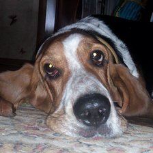 Схема вышивки «Nola»