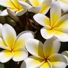 Схема вышивки «№2582499»