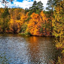 Схема вышивки «Осень»