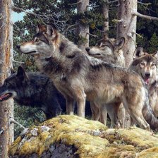 Схема вышивки «В дозоре»