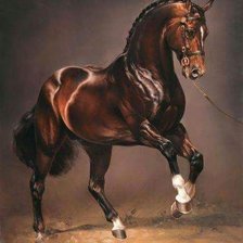 Схема вышивки «грация лошади»