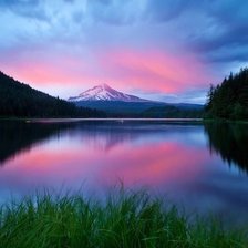 Схема вышивки «№2582967»