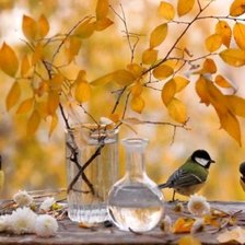 Схема вышивки «Золото осени»