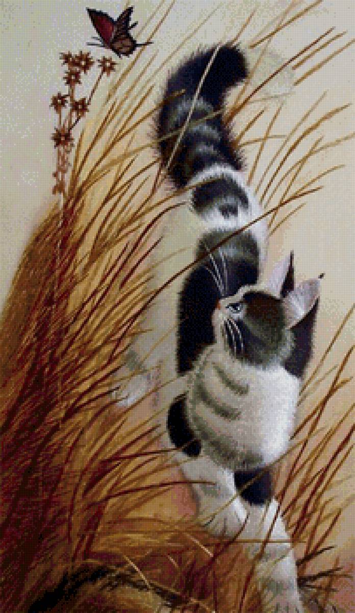 Кот - кот - предпросмотр