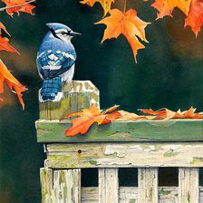 Схема вышивки «Птичка»