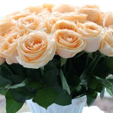 Схема вышивки «Розы для тебя»