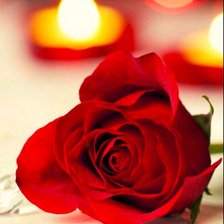 Схема вышивки «Вечерняя роза»