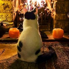 Схема вышивки «Кот и комин»