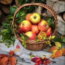 Схема вышивки «Яблоки 1»