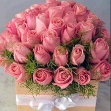 Схема вышивки «Розовые розы1»