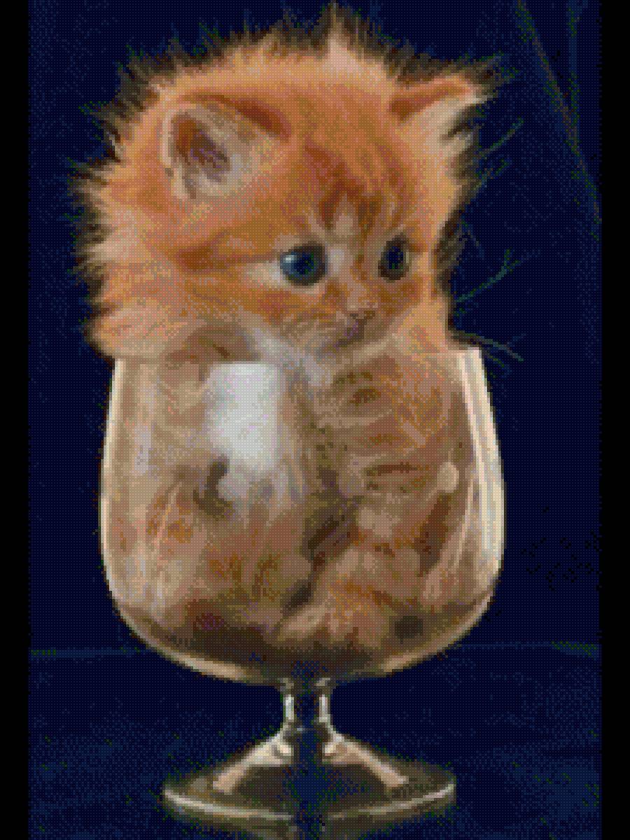 КоТтейль - котенок - предпросмотр