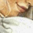Предпросмотр схемы вышивки «пара» (№2584537)