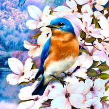 Схема вышивки «Зяблик»