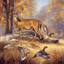 Олень на водопое