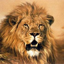 Схема вышивки «LEON»