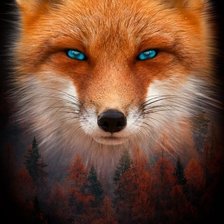 Схема вышивки «Лиса»