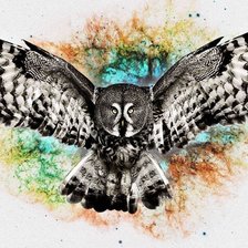 Схема вышивки «Сова»