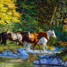 Схема вышивки «Кони 1»