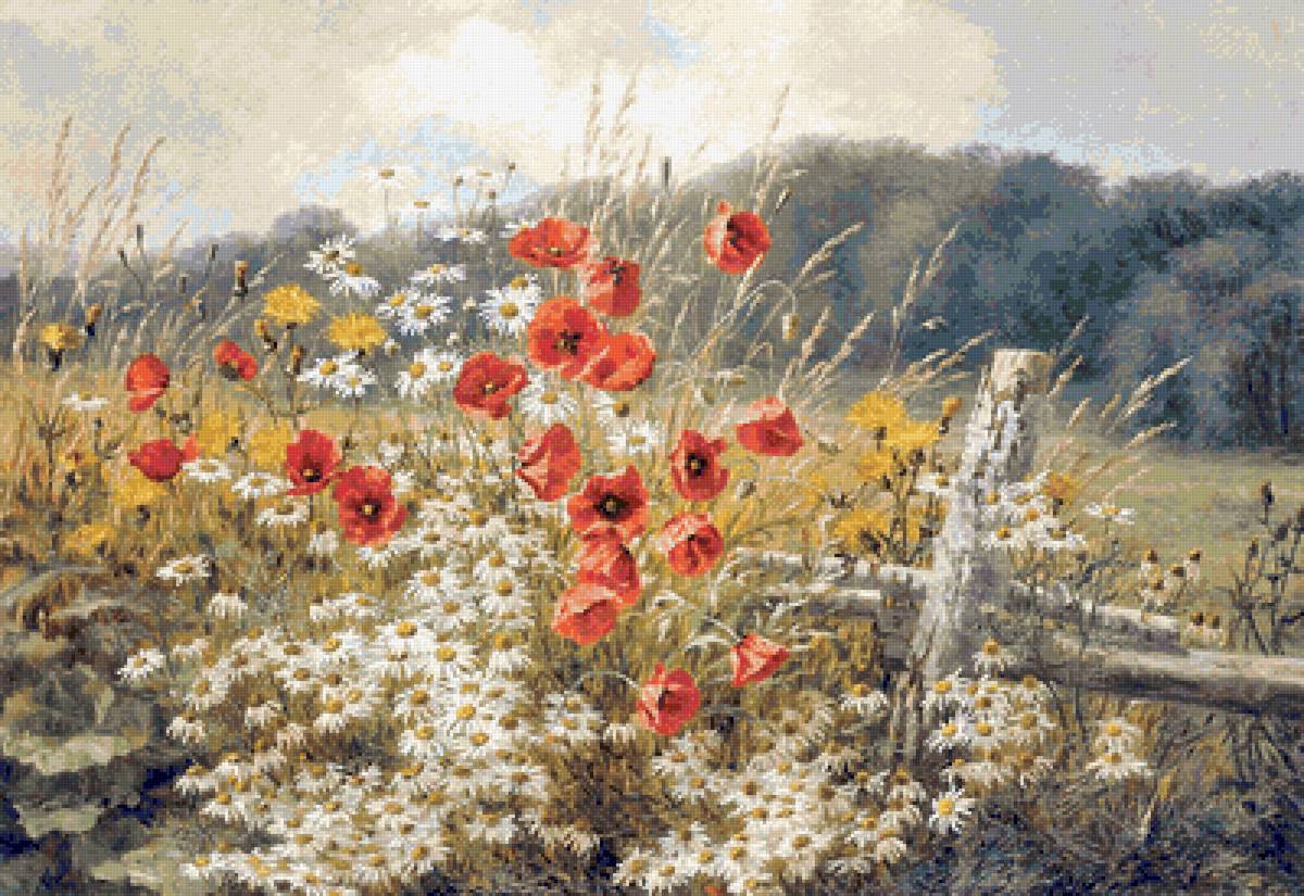 околица - травы, пейзаж, цветы, лето - предпросмотр