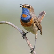 Схема вышивки «№2585812»