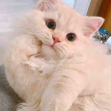 Задумалась