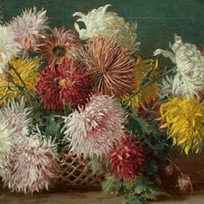 Хризантемы