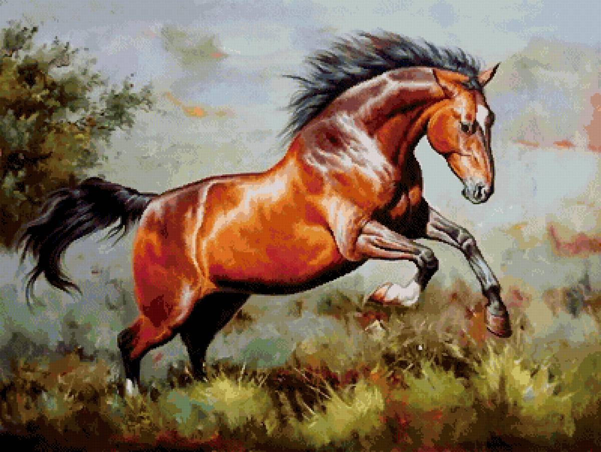 №2586889 - животные, конь - предпросмотр