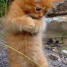 Схема вышивки «Нашел!»