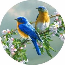 Схема вышивки «№2587280»