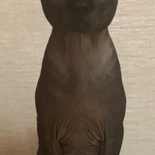 Схема вышивки «Сфинкс Oscar»