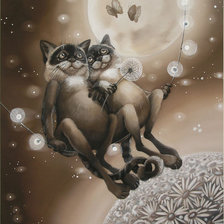 Схема вышивки «Притяжение»