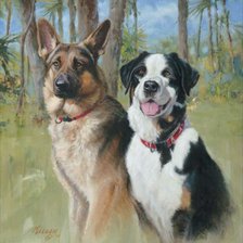 Собаки. Джим Киллен