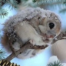 Схема вышивки «№2588517»