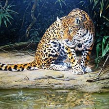 Схема вышивки «№2588899»