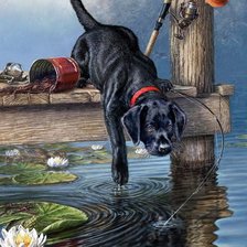 Схема вышивки «№2588926»