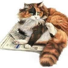 Схема вышивки «,,Ириска,,»