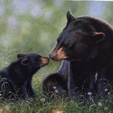 Схема вышивки «картины абрахама хантера»