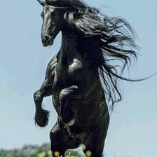 Схема вышивки «Конь»