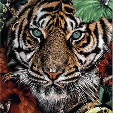 Схема вышивки «№2589461»