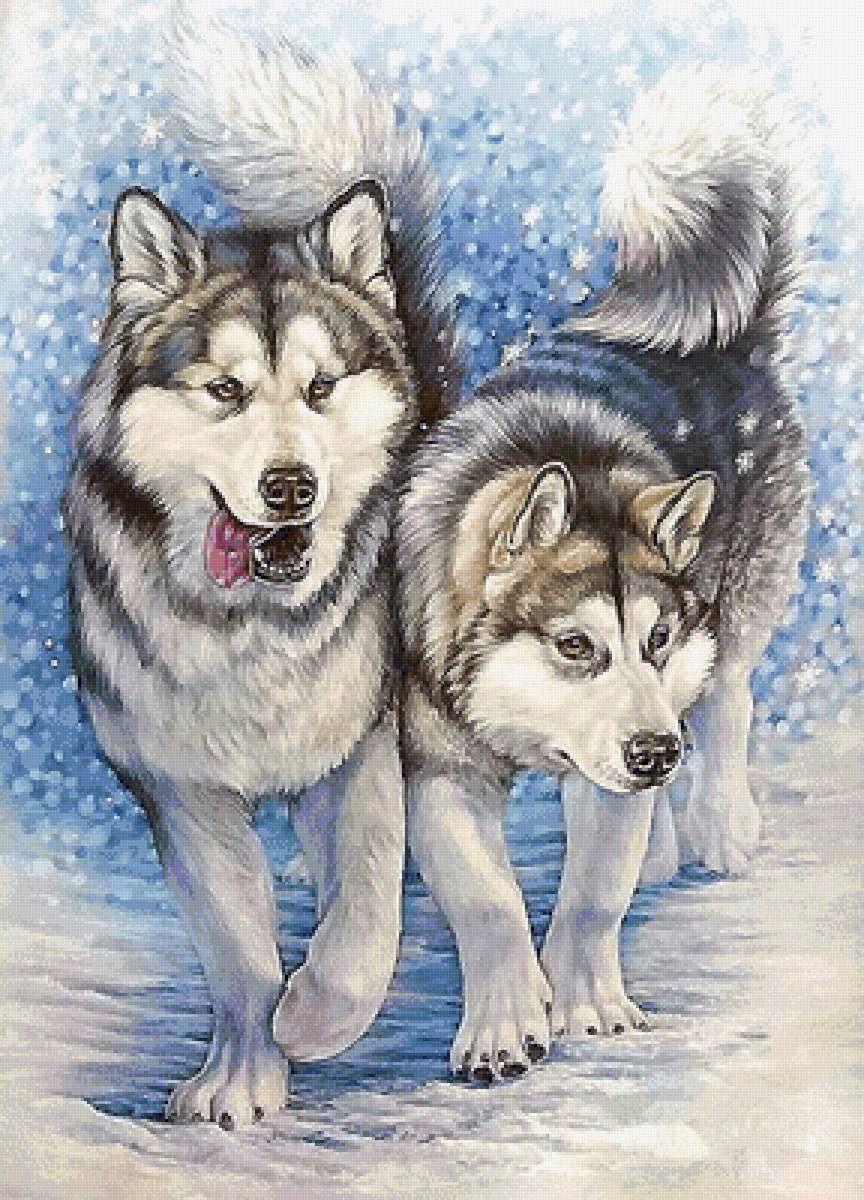 Хаски - художники - предпросмотр