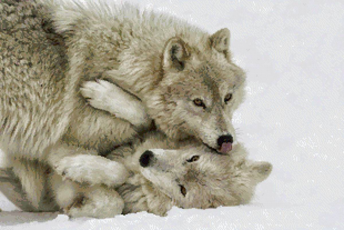 №2589661 - предпросмотр