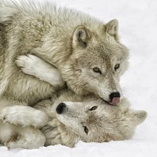 Схема вышивки «№2589661»