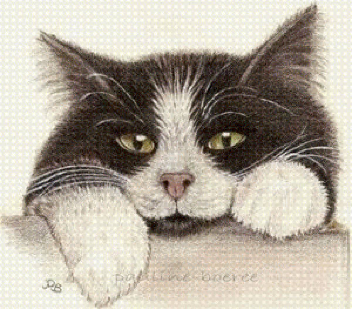 Кот - кот 🐱 - предпросмотр