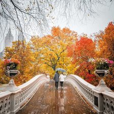 Схема вышивки «Mùa thu»