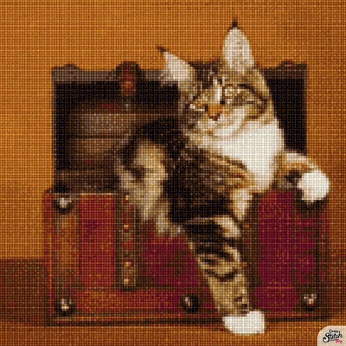 Красавчик - кот 🐱 - предпросмотр